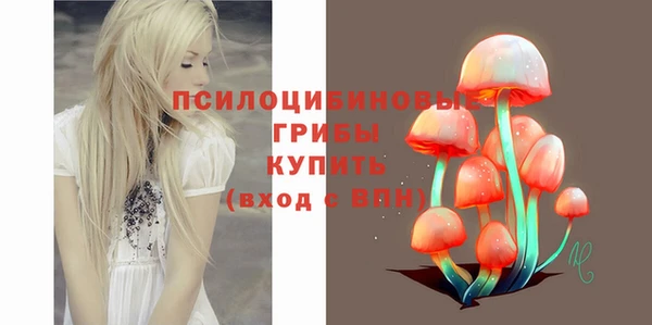 соль ск Аркадак