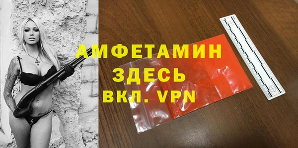 прущие грибы Баксан
